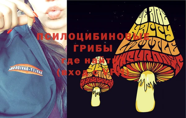 первитин Абинск