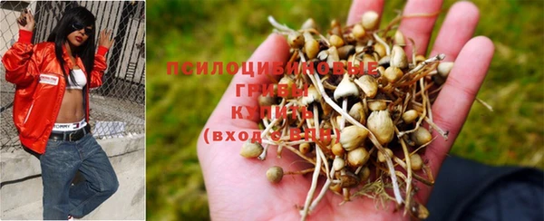 шишки Алзамай